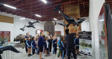 Semana Cultural vem acontecendo no Museu da Baleia de Imbituba
